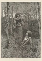 Efeu für Ballkleider sammeln